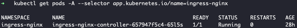 Figure 3. Output of executing command to discover if ingress-nginx is present within your cluster