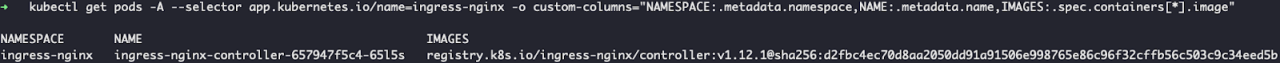 Figure 4. Output of executing command to identify vulnerable versions
