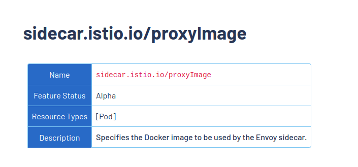 Figure 1. ProxyImage definition from the official Istio documentation